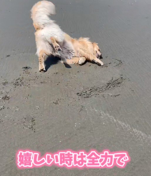 感情表現豊か！！