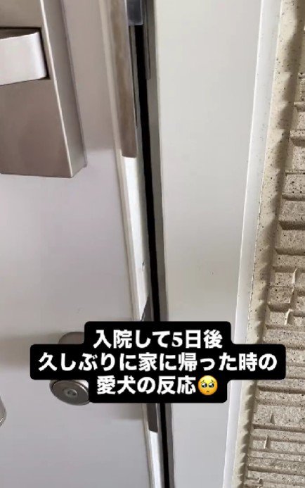 5日ぶりに帰宅したら…