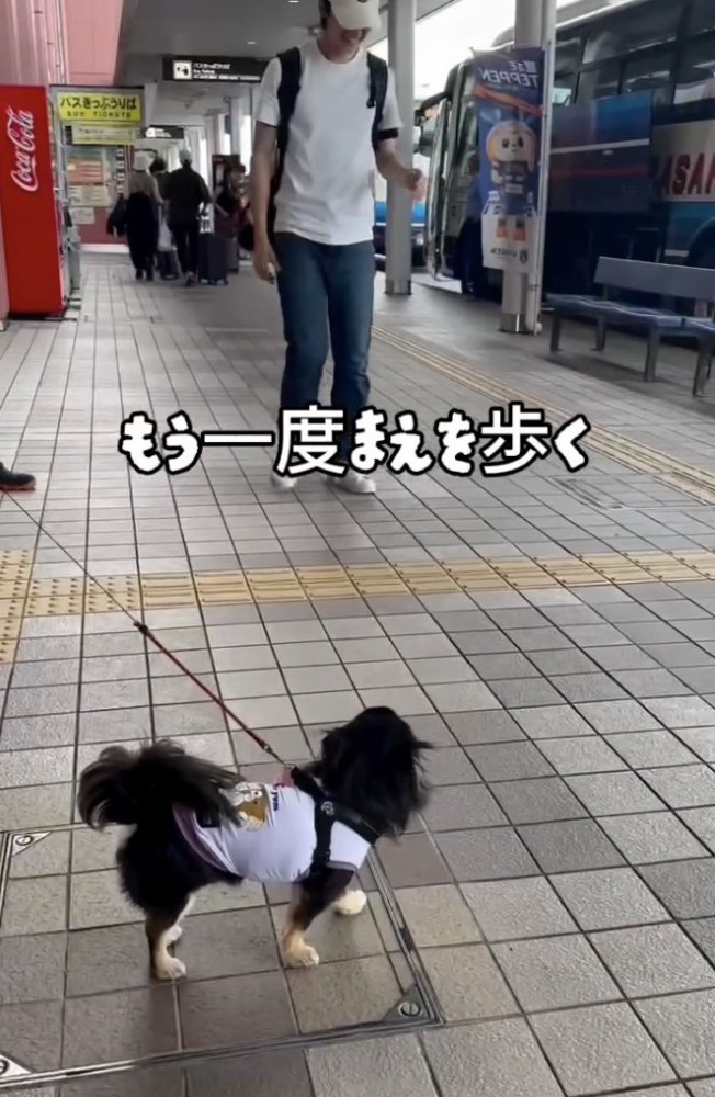 次は気付くかな？