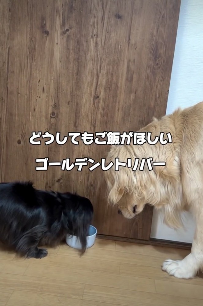 「まだまだ食べたい…!」