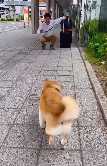 パパの元へ行くこさめちゃん