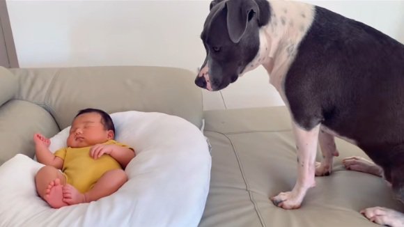 絶妙な位置でハリーくんを見守るゆめちゃん