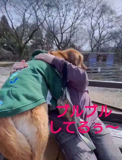 ぎゅっとしがみつく姿にキュン♡