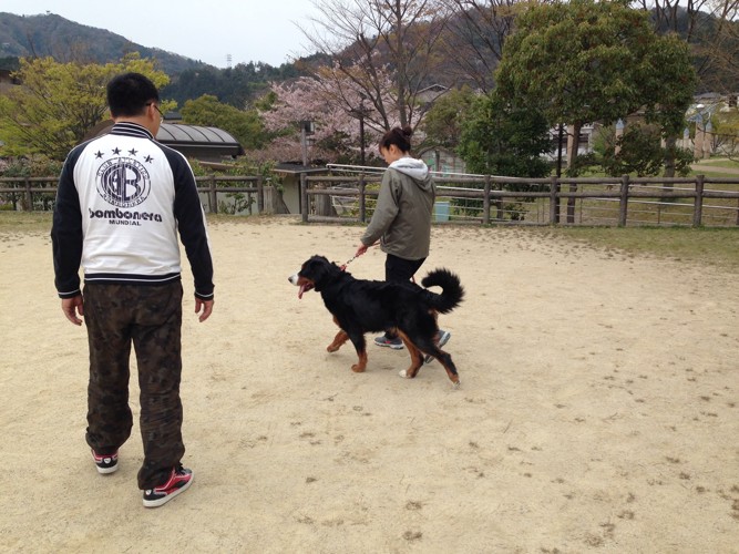 飼い主さんとトレーニング中