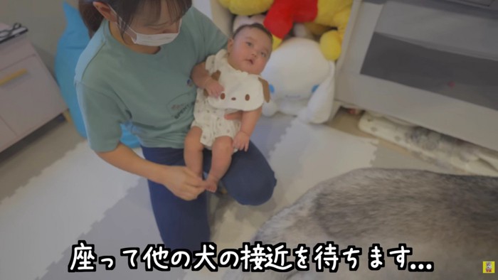 赤ちゃんと触れ合ってみる