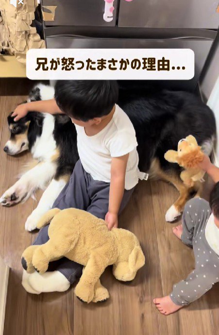 レアちゃんをなでるお兄ちゃん