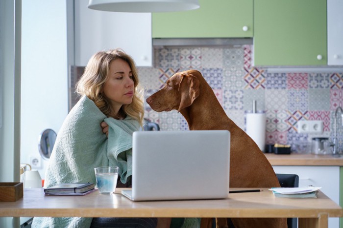 体調不良の女性を見つめる犬