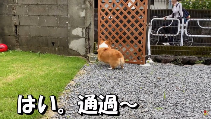 もう一度全力でお見送り♪