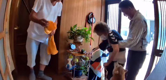 立ち上がって老年女性に近づく犬