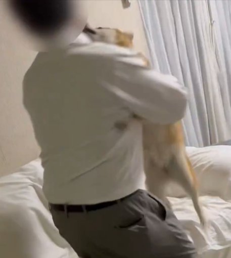 お父さん