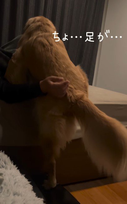 「ちょ…上がれない…」