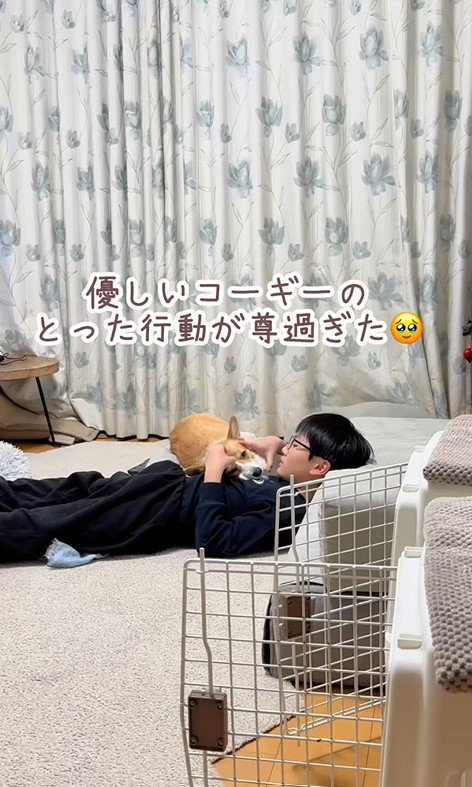 ココちゃんの尊い行動