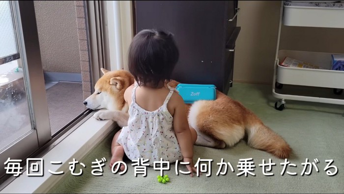 オスの柴犬の背中にメガネケースを乗せる女の子