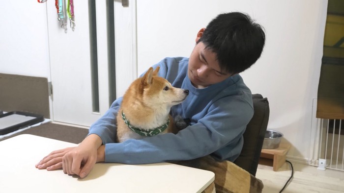 お兄ちゃん帰省時の豆柴4兄妹9