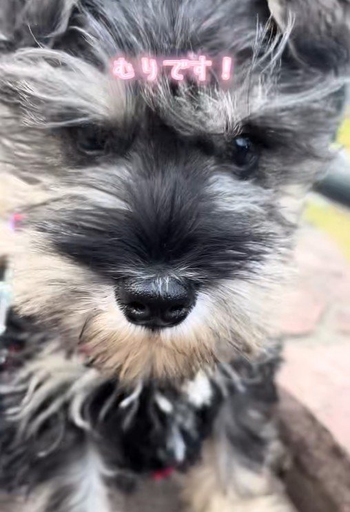 ちょっぴり情けなくて可愛い♡