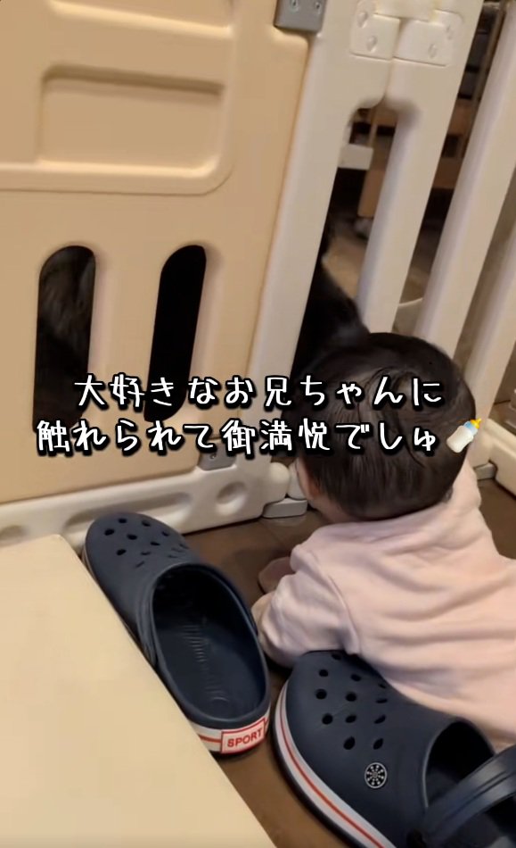 ご満悦な赤ちゃん