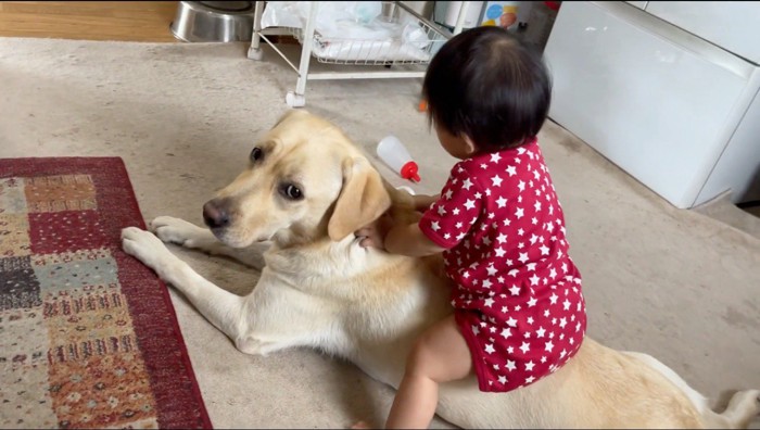 赤ちゃんに背中に乗られて、カメラを見つめる意味