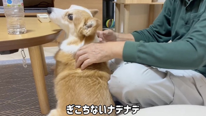 おじいちゃんの隣に座る犬