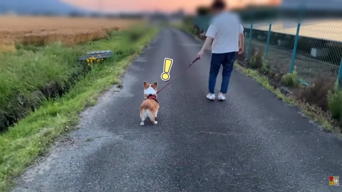 お姉ちゃんに気づいたはなちゃん