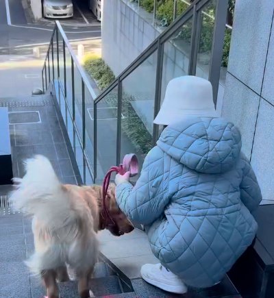 悩む子供と犬