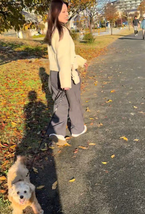 お散歩中のチャックくん8