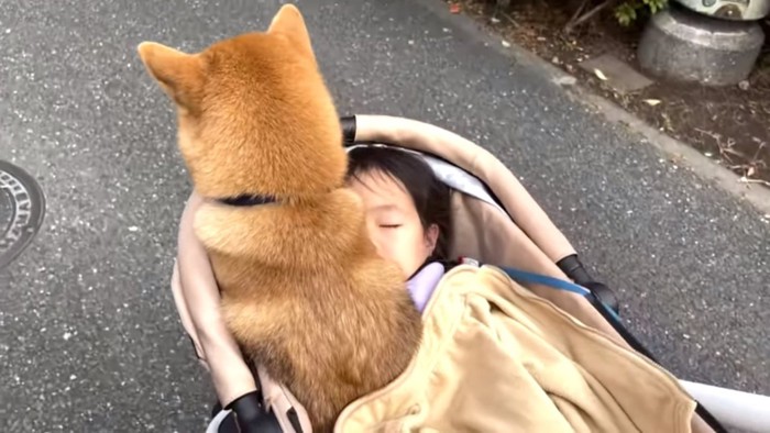 カートの端に座る花子ちゃん