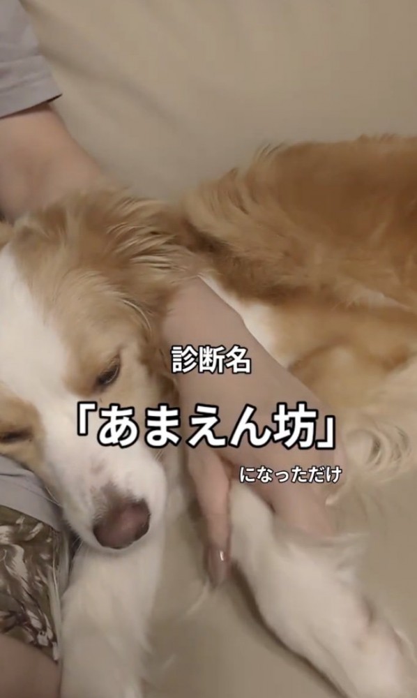 どんどん重症化