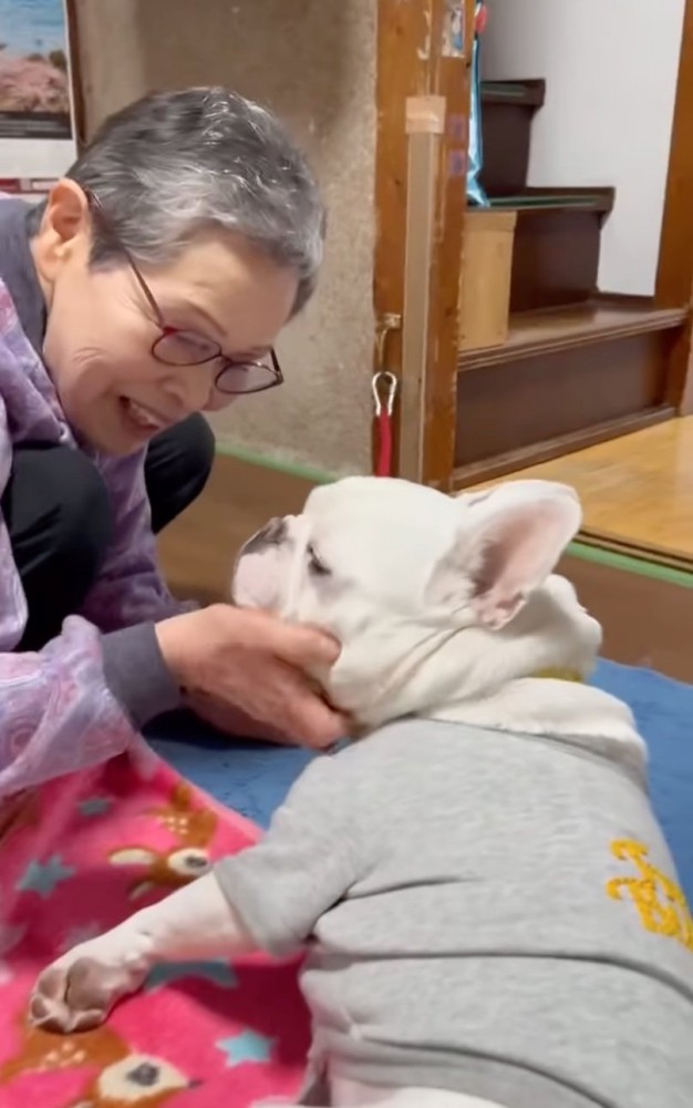 犬の顔を見つめるおばあちゃん