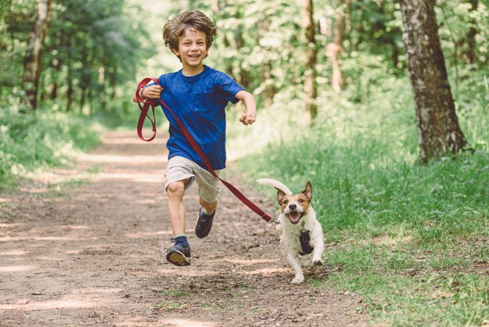 子供と走る犬