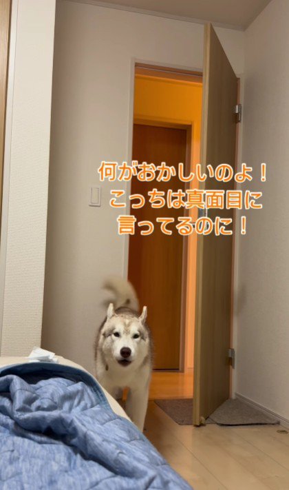 「なに笑ってるの！」