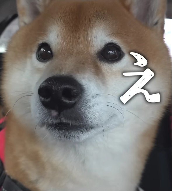 「え…どういうこと…？」