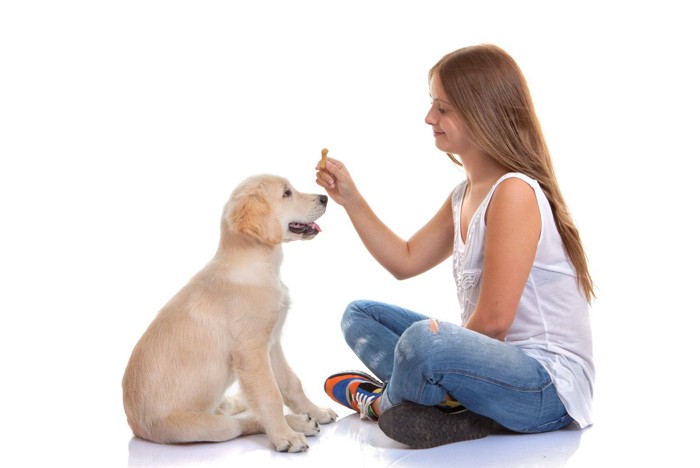 女性と子犬