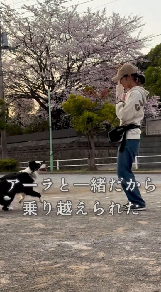 飼い主に向かって走っていく犬