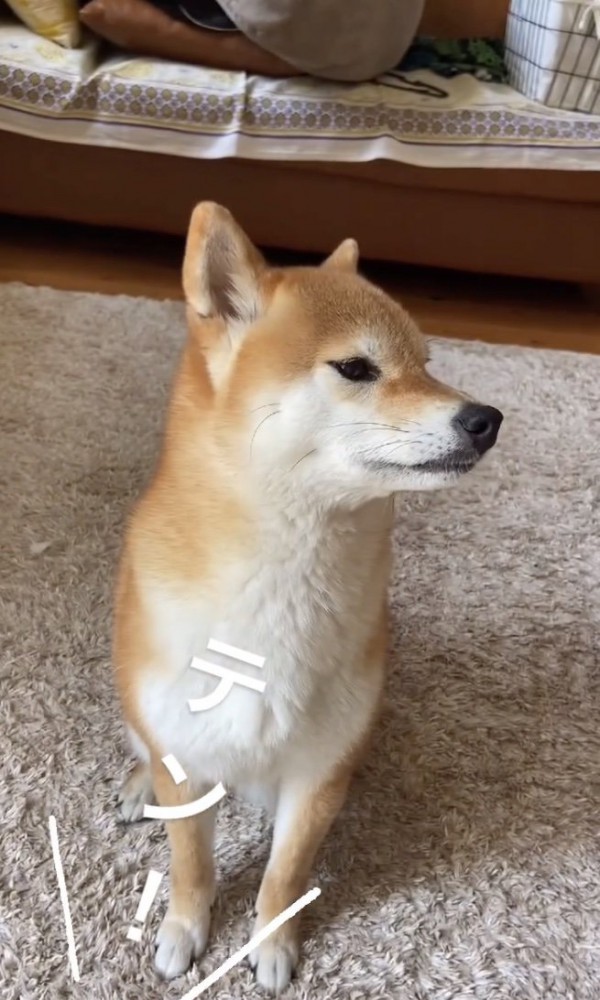 呼ばれた