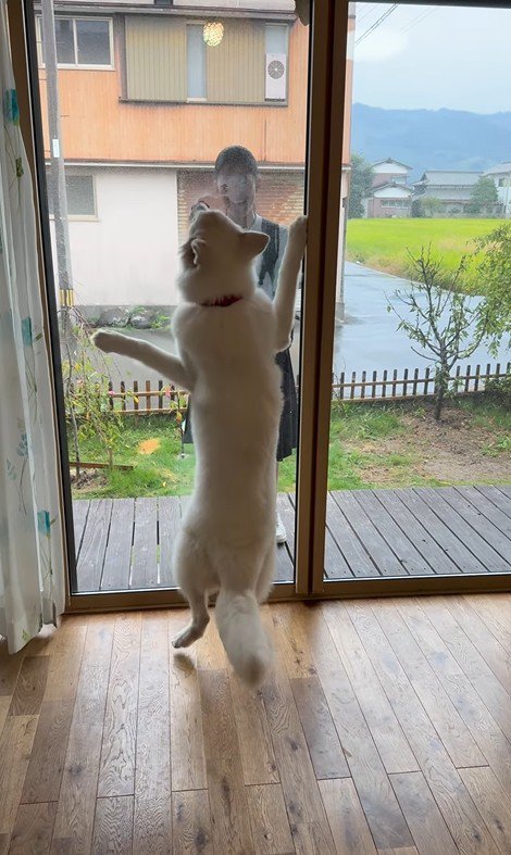 お姉ちゃんを引き止めたいまる君7