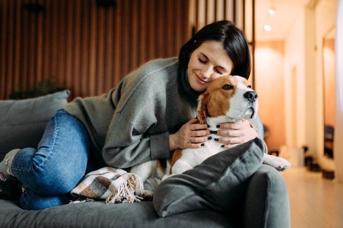 スキンシップをされてどこかよそよそしい犬