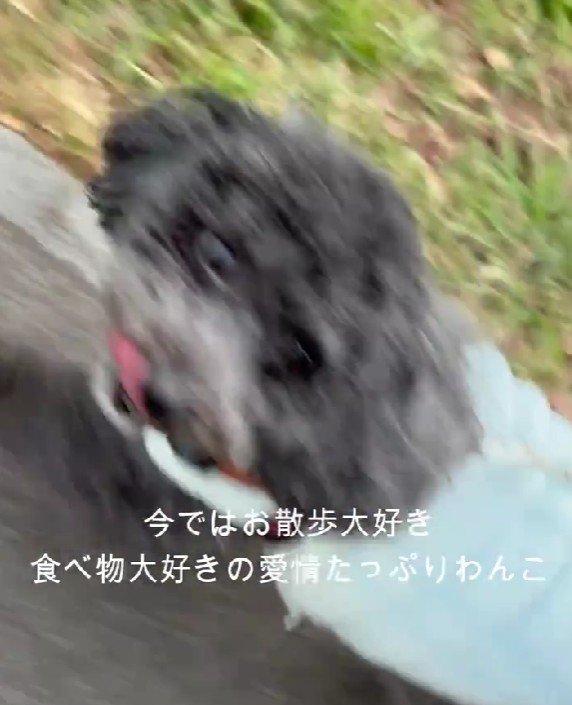 アイコンタクトできるほど成長