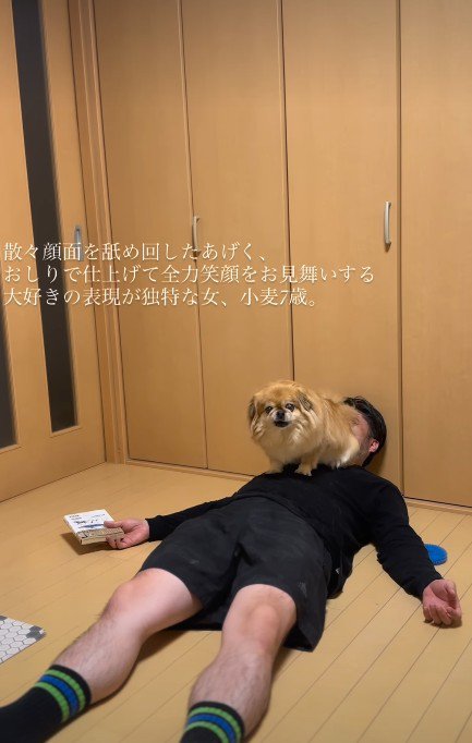 くるりと器用に方向転換
