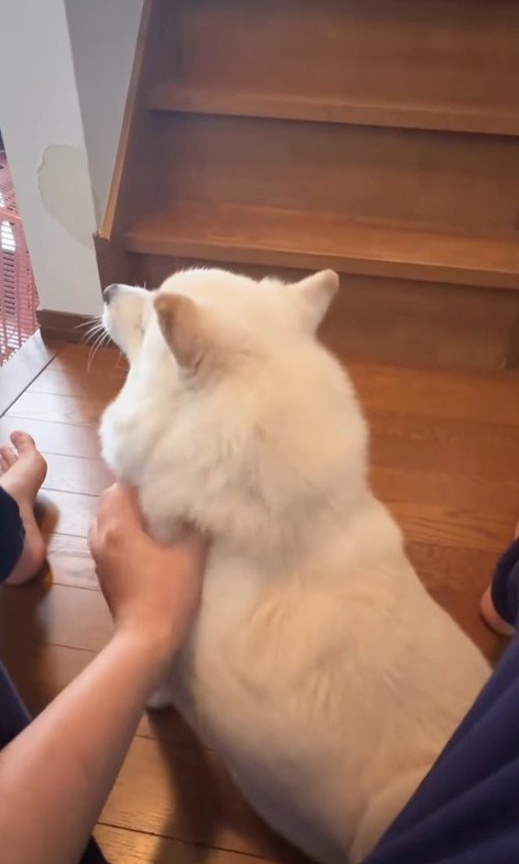 甘えん坊なベラちゃん4