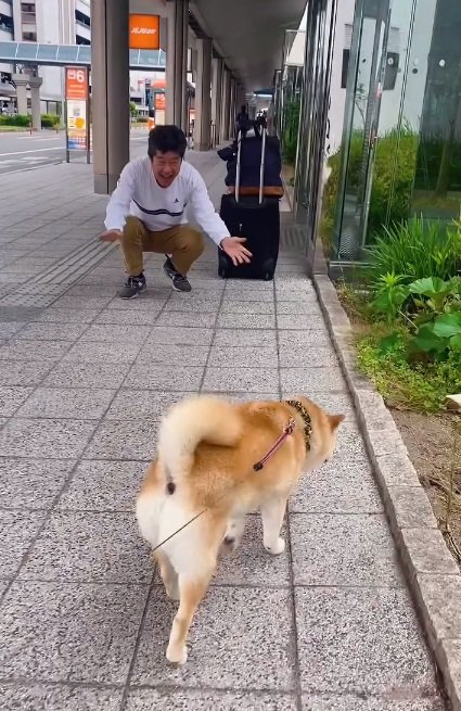 よそ見をするこさめちゃん