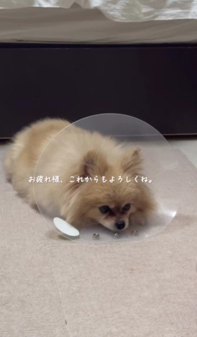 これからは自分のために生きよう