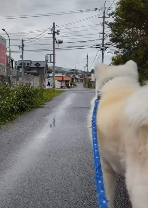 娘さんを見つけたこうたろう君