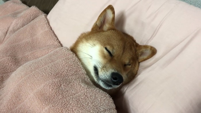 まだ眠たいみたい…