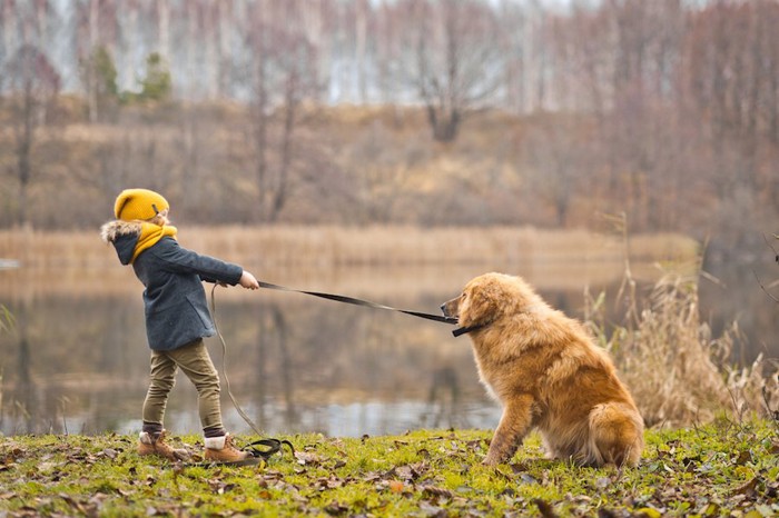 座る犬とリードを引っ張る女の子