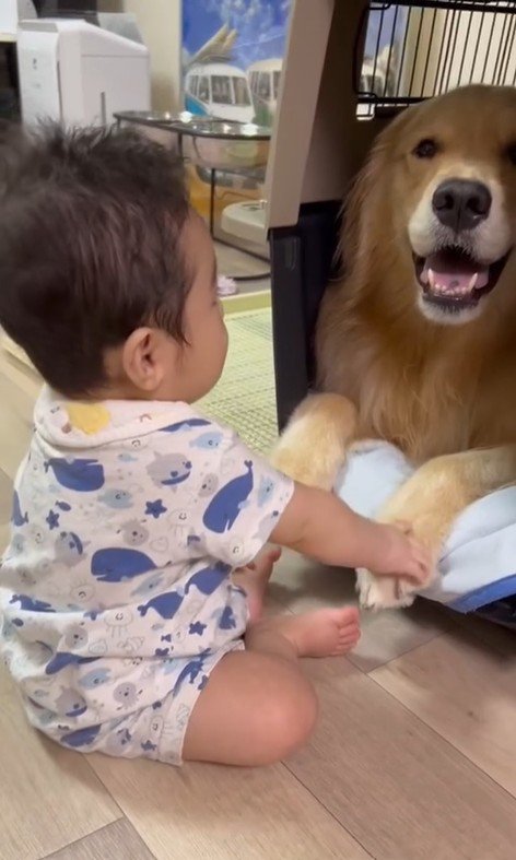 オレオくんと赤ちゃん2