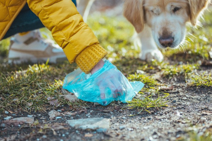 犬のウンチをとる