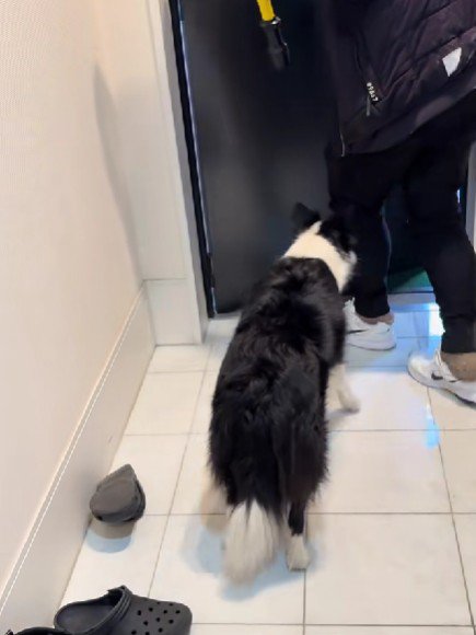 「もう行っちゃうの？」