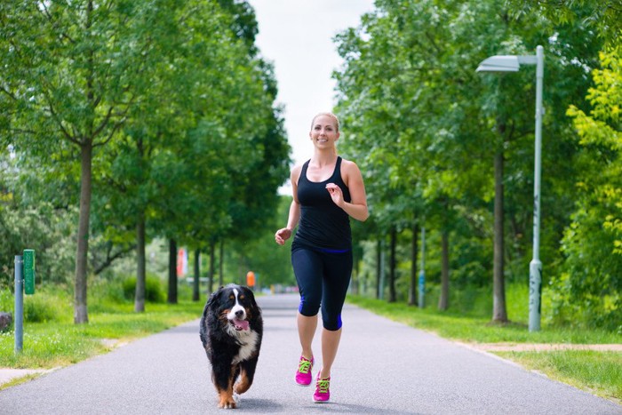 犬とランニングする女性