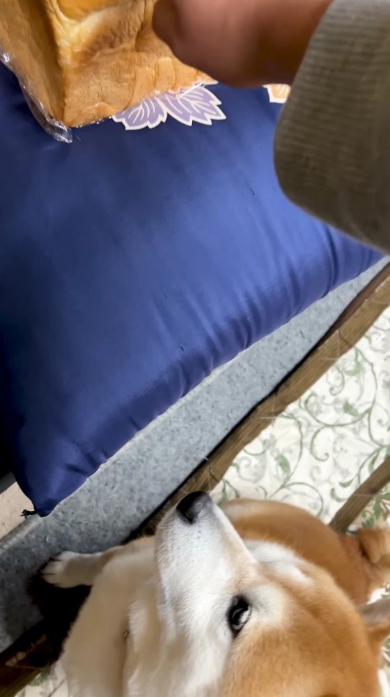 食パンの方だった！！