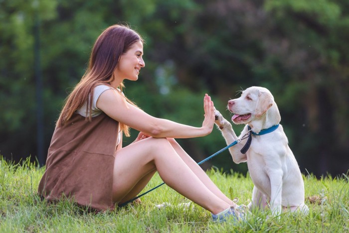 ハイタッチをする犬と女性